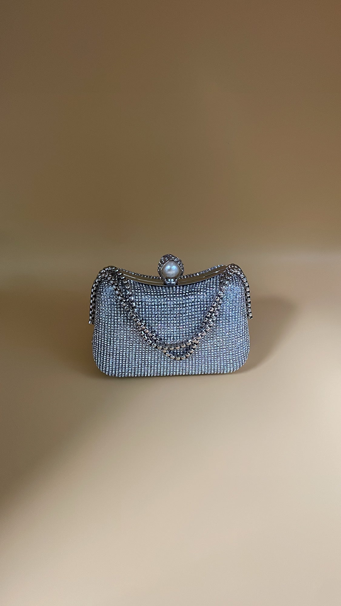 Silver Crystal Evening Clutch